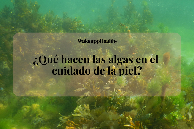 ¿Qué hacen las algas en el cuidado de la piel?